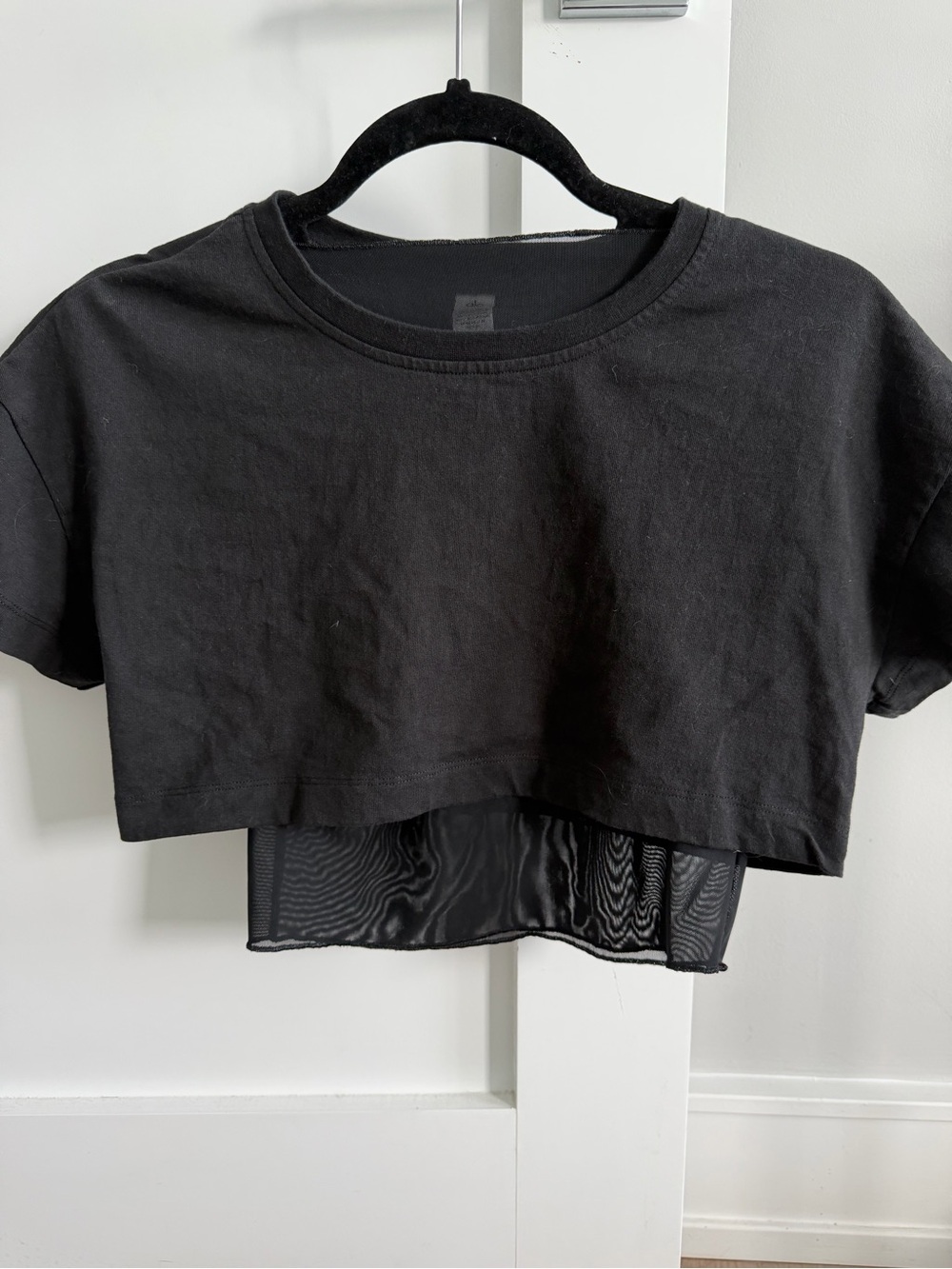 ALO Yoga womens Black Cropped Short Sleeve Tee sheer bottom